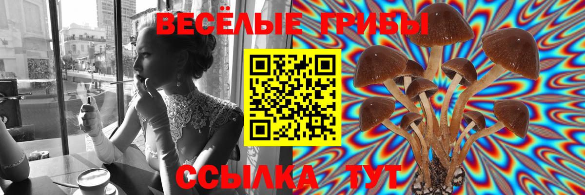 Галлюциногенные грибы Psilocybine cubensis  Вход с VPN  Заволжье  Псилоцибиновые грибы Magic Shrooms 