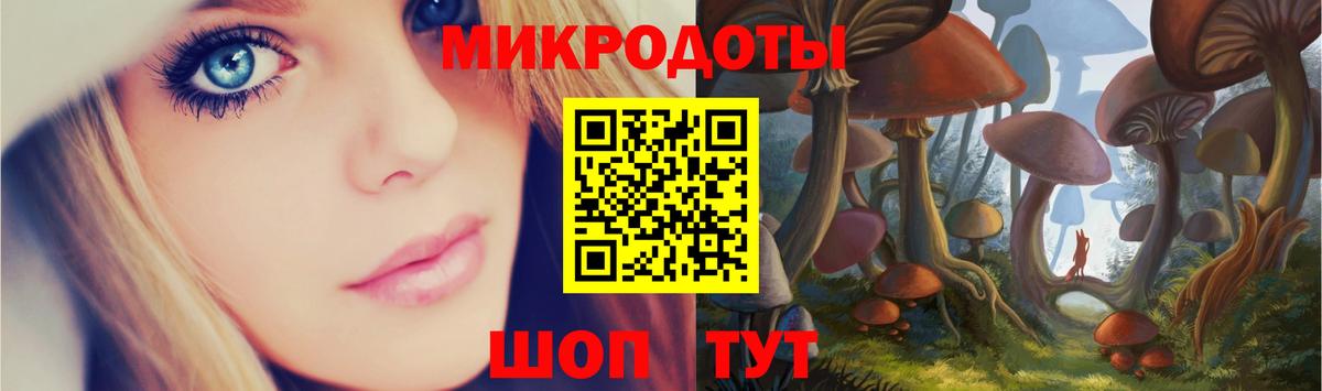МЕФ Заволжье